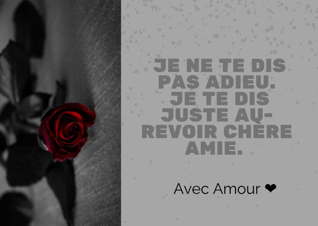 Article : In memoriam : je te dis non point adieu, mais aurevoir