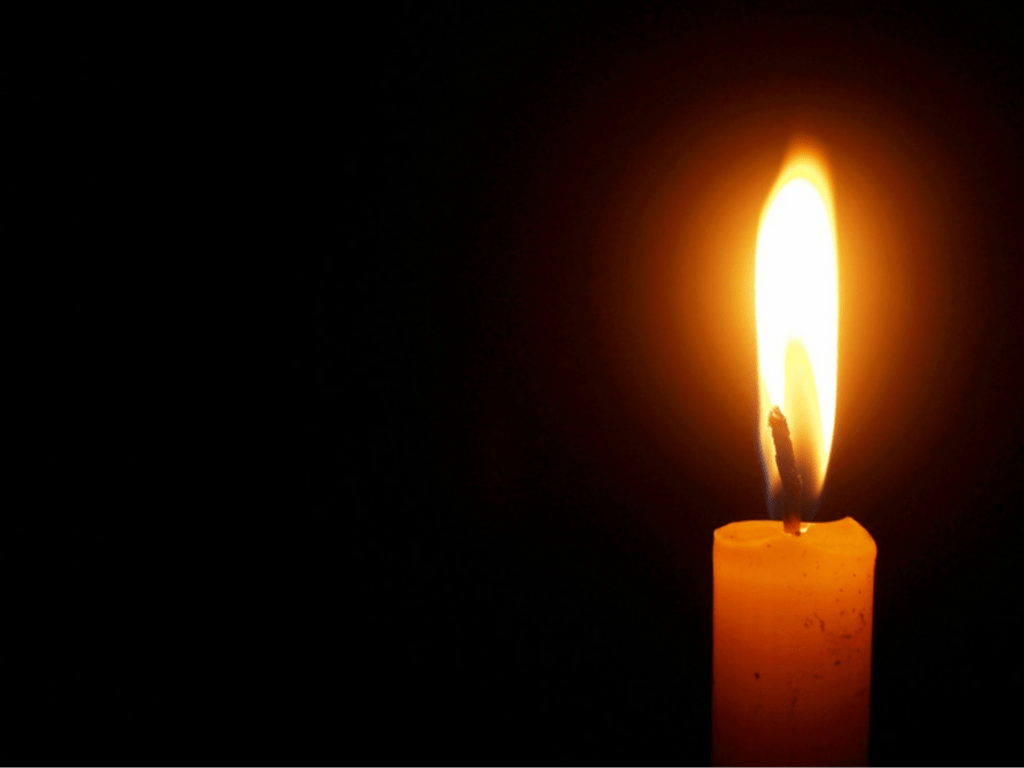 Article : Perte et compassion